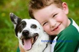 TuVungToeic.com - 600 Từ vựng TOEIC theo Chủ đề-Climates