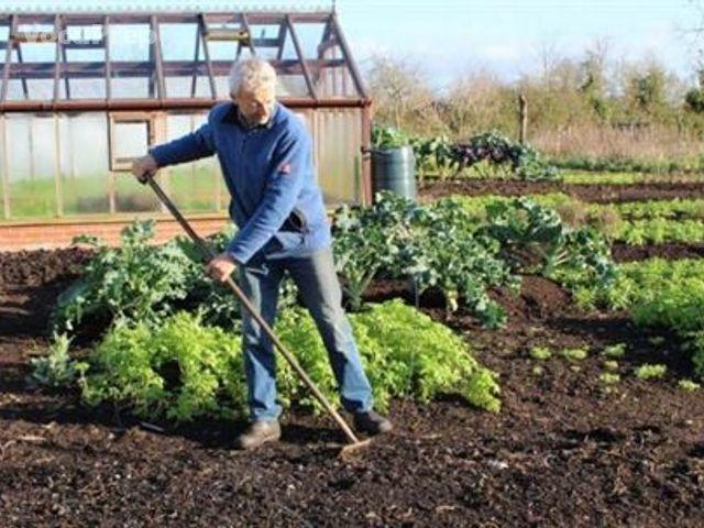 expert gardener