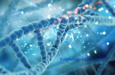 genetics