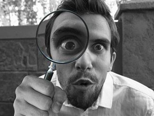 investigate