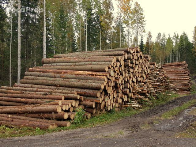 raw material