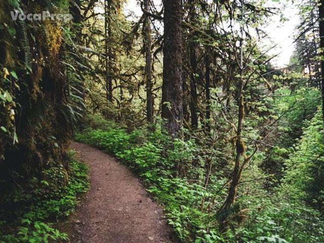 trail