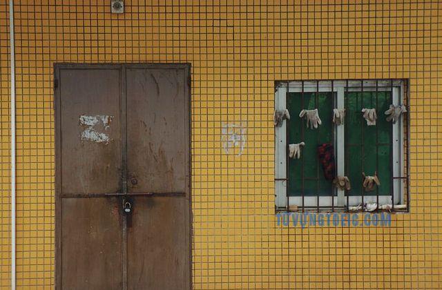 back door