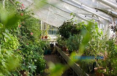 Botanical Gardens
