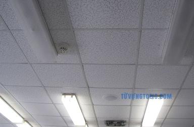 ceiling