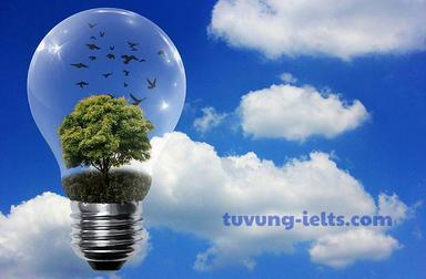 conserve