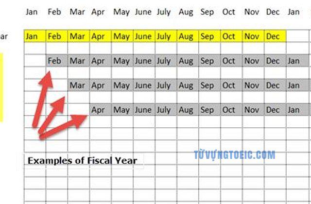 fiscal year