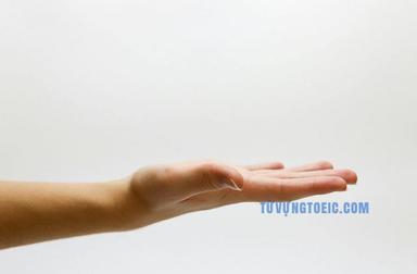 hand