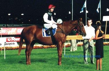 impose