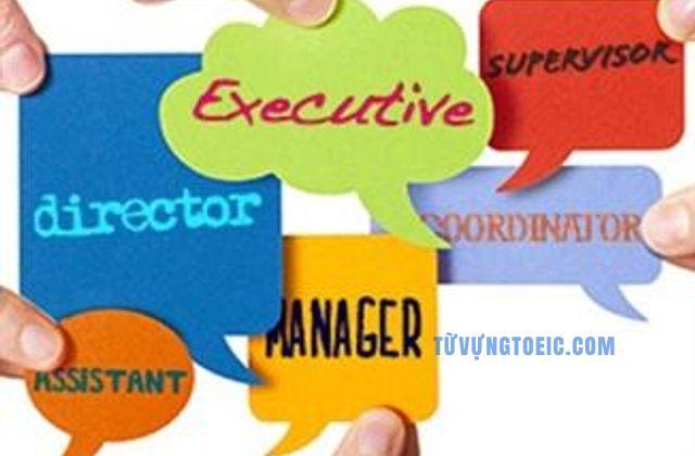 job titles