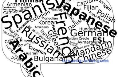 language barrier