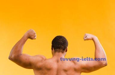 muscle