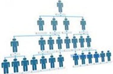 organization