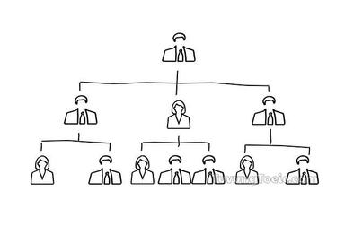 organization