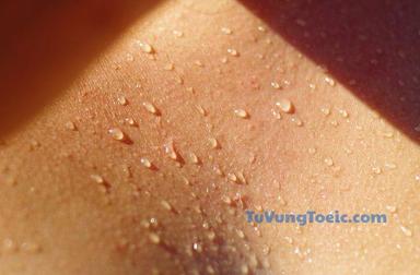 sweat