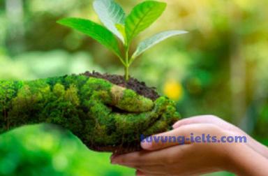 the environment