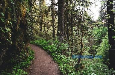 trail