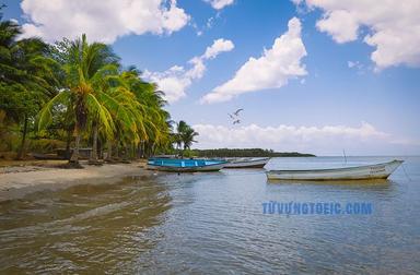 with boats