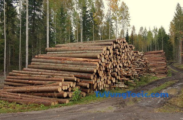 raw material