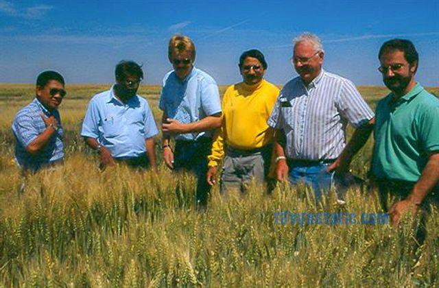 agricultural experts