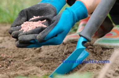 fertilizer