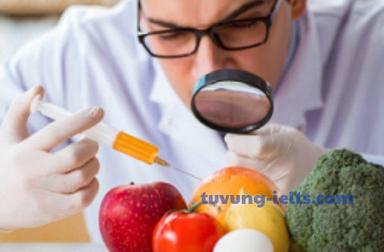 genetically modified