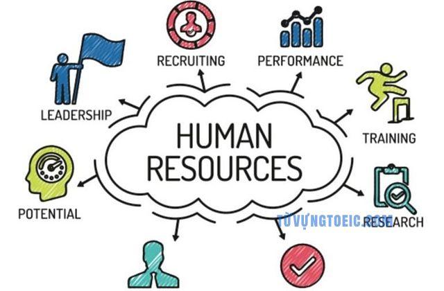 human resources