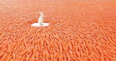 abundant