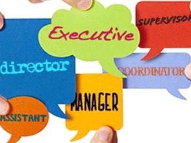 job title