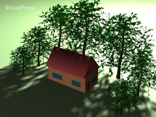 near tree