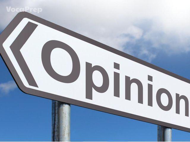 opinion