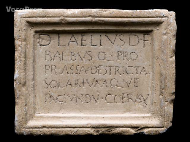 plaque